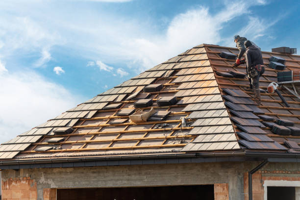 Best Asphalt Shingle Roofing  in Gregory, SD